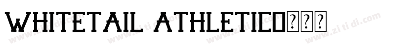 Whitetail Athletic字体转换